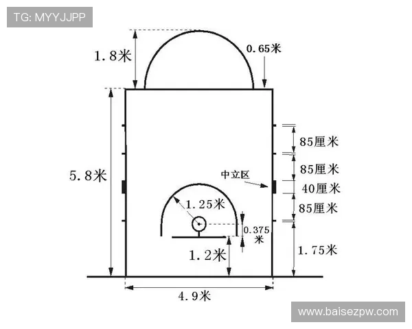 详细解析罚球规则 NBA 与 FIBA 区别及具体判罚标准